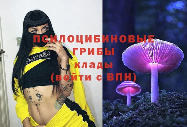 mdpv Алексин